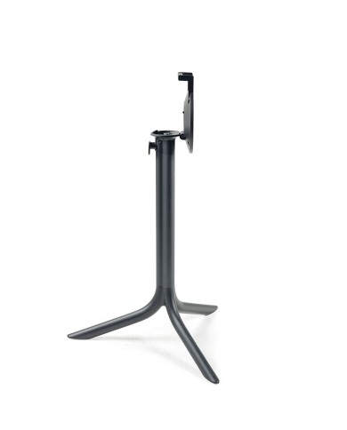 BASE FLUTE NARDI ZB03