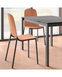 Silla Moly CANCIO estructura metálica y carcasa en tapizado, tessuto, madera teñida o lacado . Ideal para cocina y hogar.