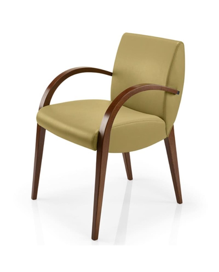 Sillón tapizado con brazos, cómodo y resistente, ideal para hostelería interior y hogar.