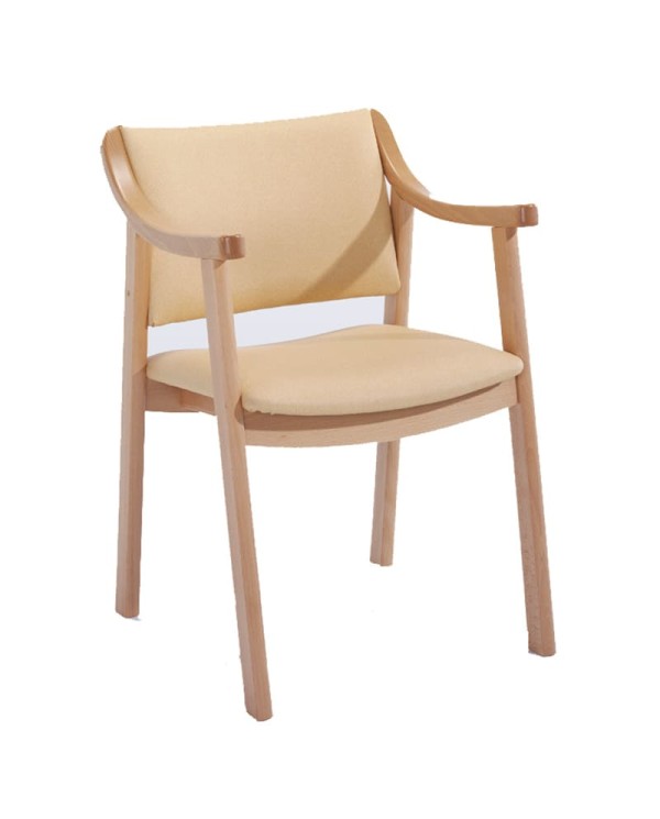 Sillón tapizado de geriatría ZD12