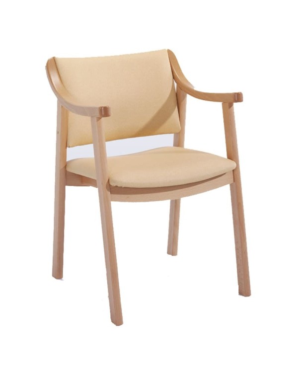 Sillón con asiento y respaldo tapizado adecuado para residencias y hospitales