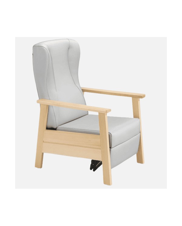 Butaca reclinable de geriatría ZD38