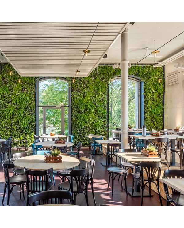 Silla TON 56 de haya para restaurantes, cafeterías y hoteles.